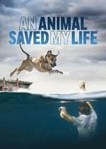 Watch An Animal Saved My Life Soap2day