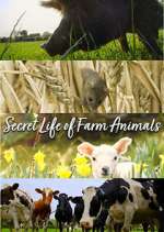 Watch Secret Life of Farm Animals Soap2day