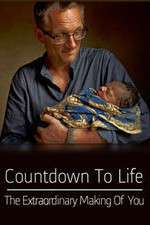 Watch Countdown to Life The Extraordinary Making of You Soap2day