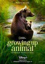 Watch Growing Up Animal Soap2day