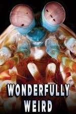 Watch Wonderfully Weird Soap2day