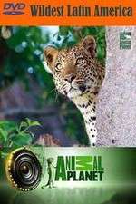 Watch Wildest Latin America Soap2day