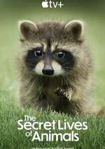 Watch The Secret Lives of Animals Soap2day