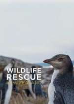 Watch Wildlife Rescue New Zealand Soap2day
