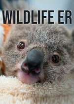 Watch Wildlife ER Soap2day