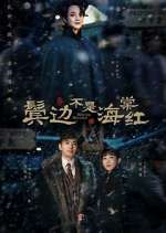 Watch Winter Begonia Soap2day