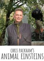 Watch Chris Packham's Animal Einsteins Soap2day