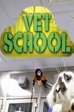 Watch Vet School Soap2day