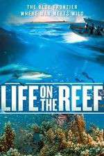Watch Life on the Reef Soap2day