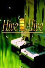 Watch Hive Alive Soap2day