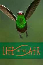 Watch Life in the Air Soap2day
