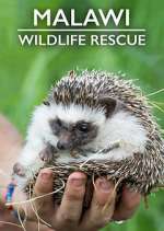 Watch Malawi Wildlife Rescue Soap2day