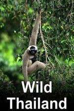 Watch Wild Thailand Soap2day