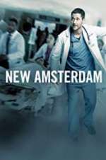 Watch New Amsterdam Soap2day