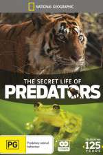 Watch Secret Life of Predators Soap2day