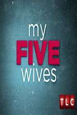 Watch My Five Wives Soap2day