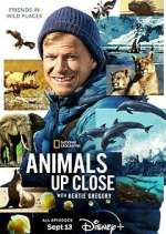Watch Animals Up Close with Bertie Gregory Soap2day