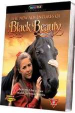 Watch The New Adventures of Black Beauty Soap2day