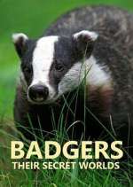Watch Badgers: Their Secret Worlds Soap2day
