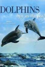 Watch Dolphins: Spy in the Pod Soap2day