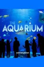 Watch The Aquarium Soap2day