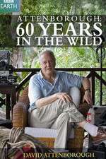 Watch Attenborough 60 Years in the Wild Soap2day