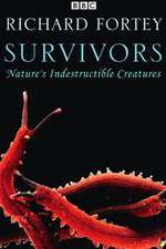 Watch Survivors: Nature's Indestructible Creatures Soap2day