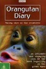 Watch Orangutan Diary Soap2day