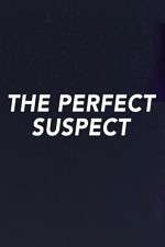 Watch The Perfect Suspect Soap2day