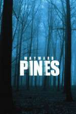 Watch Wayward Pines Soap2day