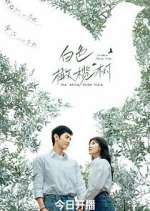 Watch The White Olive Tree Soap2day