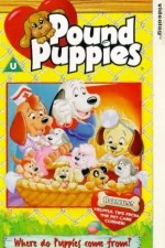 Watch Pound Puppies Soap2day