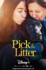 Watch Pick of the Litter Soap2day
