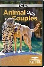 Watch Animal Odd Couples Soap2day