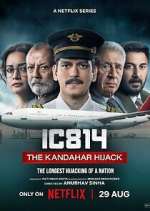 Watch IC 814: The Kandahar Hijack Soap2day