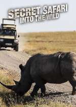 Watch Secret Safari: Into the Wild Soap2day
