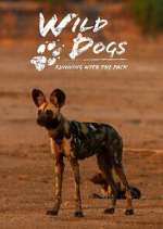 Watch Wild Dogs: Running with the Pack Soap2day