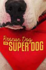 Watch Rescue Dog to Super Dog (US) Soap2day