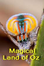 Watch Magical Land of Oz Soap2day