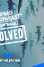 Watch Nature\'s Strangest Mysteries: Solved Soap2day