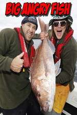 Watch Big Angry Fish Soap2day