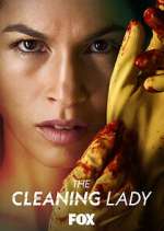 Watch The Cleaning Lady Soap2day