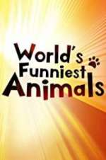 Watch The World\'s Funniest Animals Soap2day