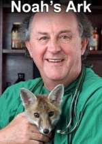 Watch Noah's Ark Soap2day