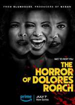 Watch The Horror of Dolores Roach Soap2day