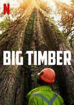 Watch Big Timber Soap2day