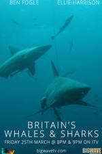 Watch Britain's Whales and Sharks Soap2day