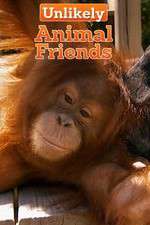 Watch Unlikely Animal Friends Soap2day