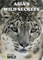 Watch Asia's Wild Secrets Soap2day