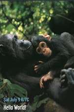 Watch Hello World! Soap2day